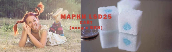 гидра Верея