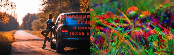 бутик Бородино