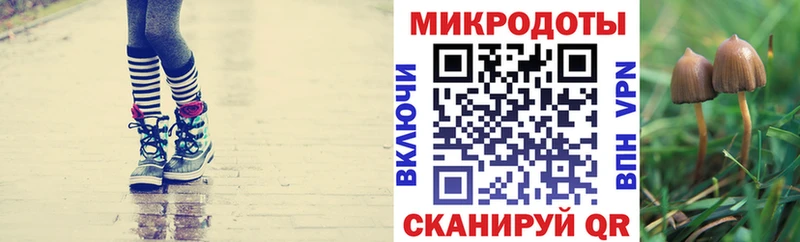 Псилоцибиновые грибы Magic Shrooms  наркошоп  Нальчик 