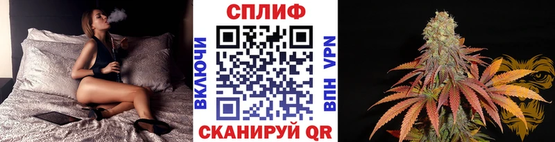 Конопля планчик  Нальчик 